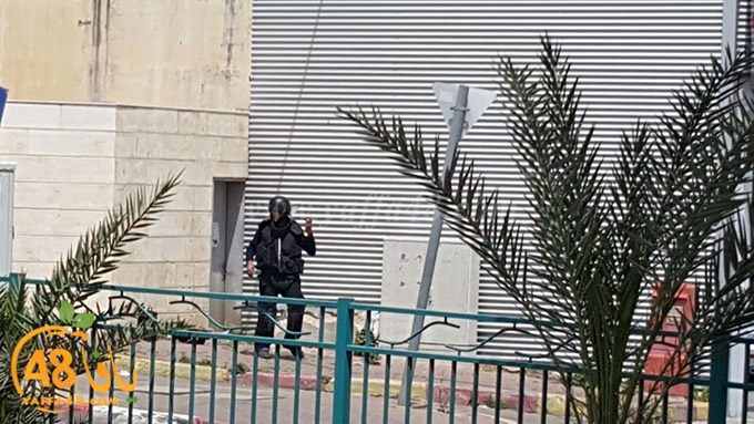 jesm mashboh ramala (3).jpg